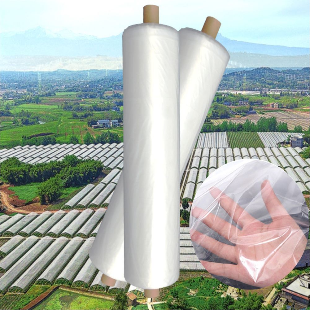 Pellicola di plastica per serr - Agriculture Farming Vegetables recensione e prezzo
