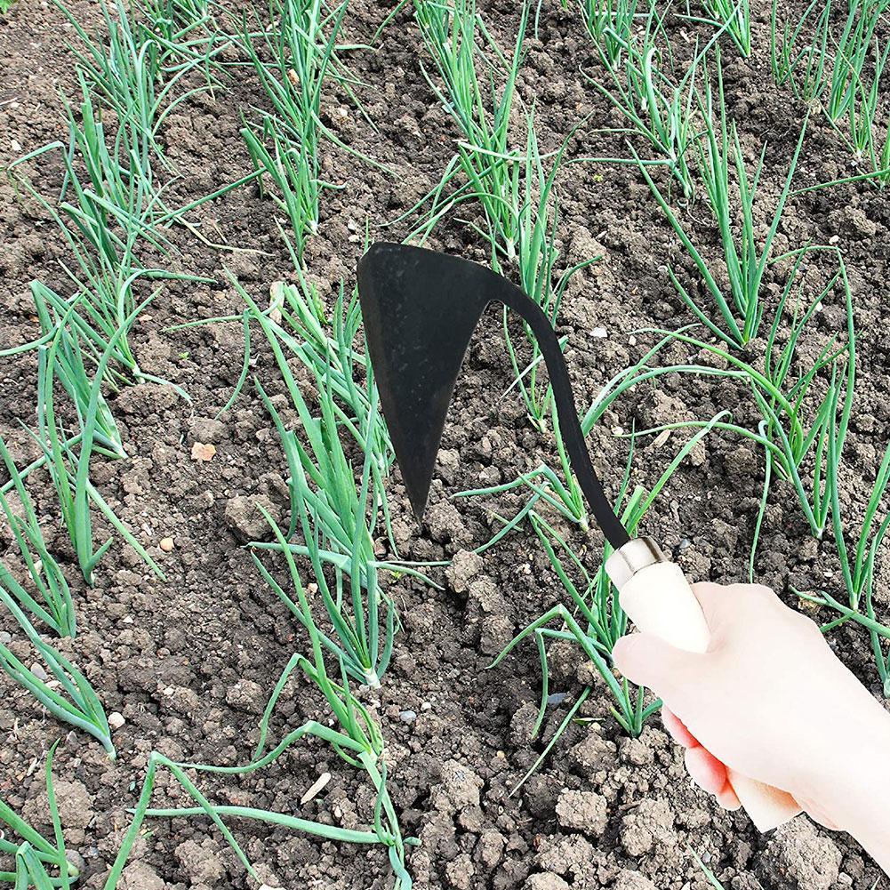 Attrezzi Agricoli: Zappa Trian - Agriculture Farming Vegetables recensione e prezzo