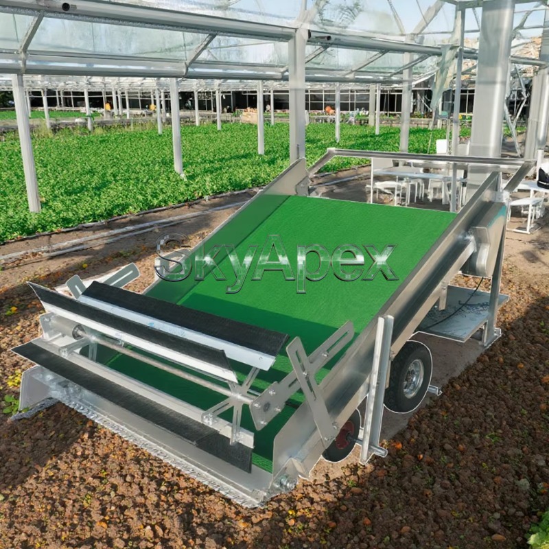 Macchina Agricola per la Racco - Agriculture Farming Vegetables recensione e prezzo