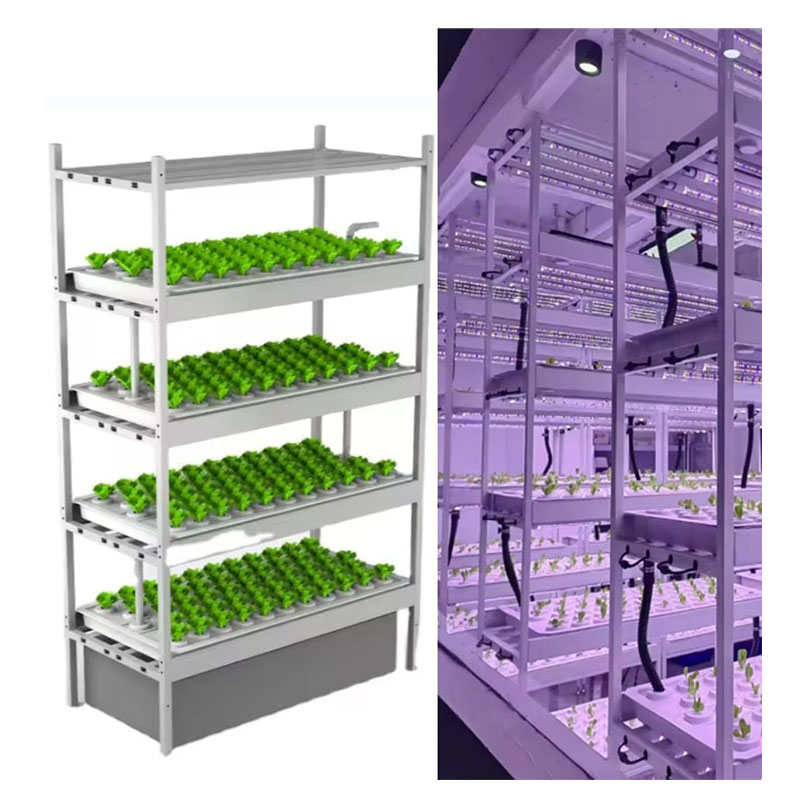 f Attrezzature agricole per se - Agriculture Farming Vegetables recensione e prezzo