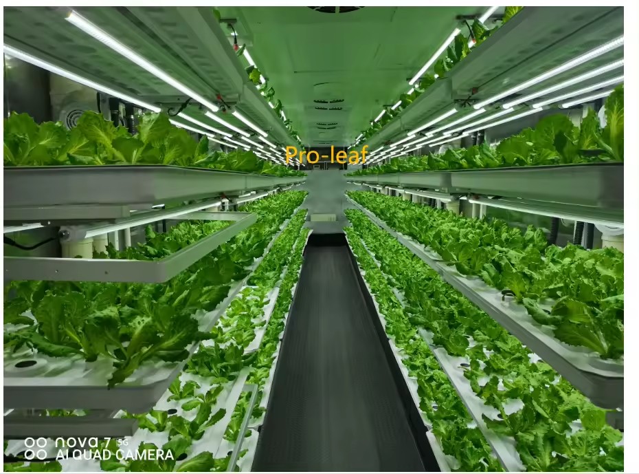 f Attrezzature agricole per se - Agriculture Farming Vegetables recensione e prezzo