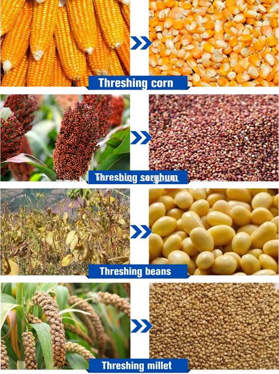 Sgranatrice multifunzione per  - Corn Sheller Machine recensione e prezzo